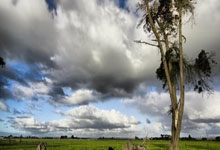 开云在线直播-拉沃尔杯绝杀法网，西西帕斯关键制胜的简单介绍