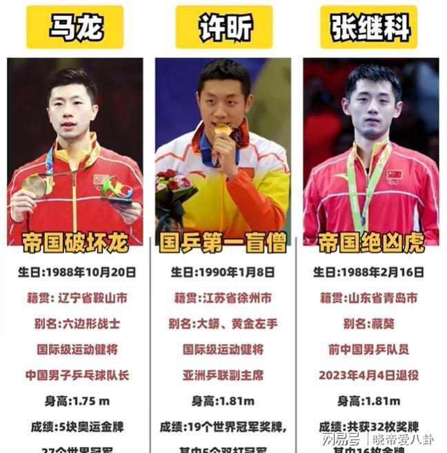 德国乒乓球队绝杀法国乒乓球队,张继科惊艳世界的简单介绍 德国乒乓球队绝杀法国乒乓球队,张继科惊艳世界的简单介绍