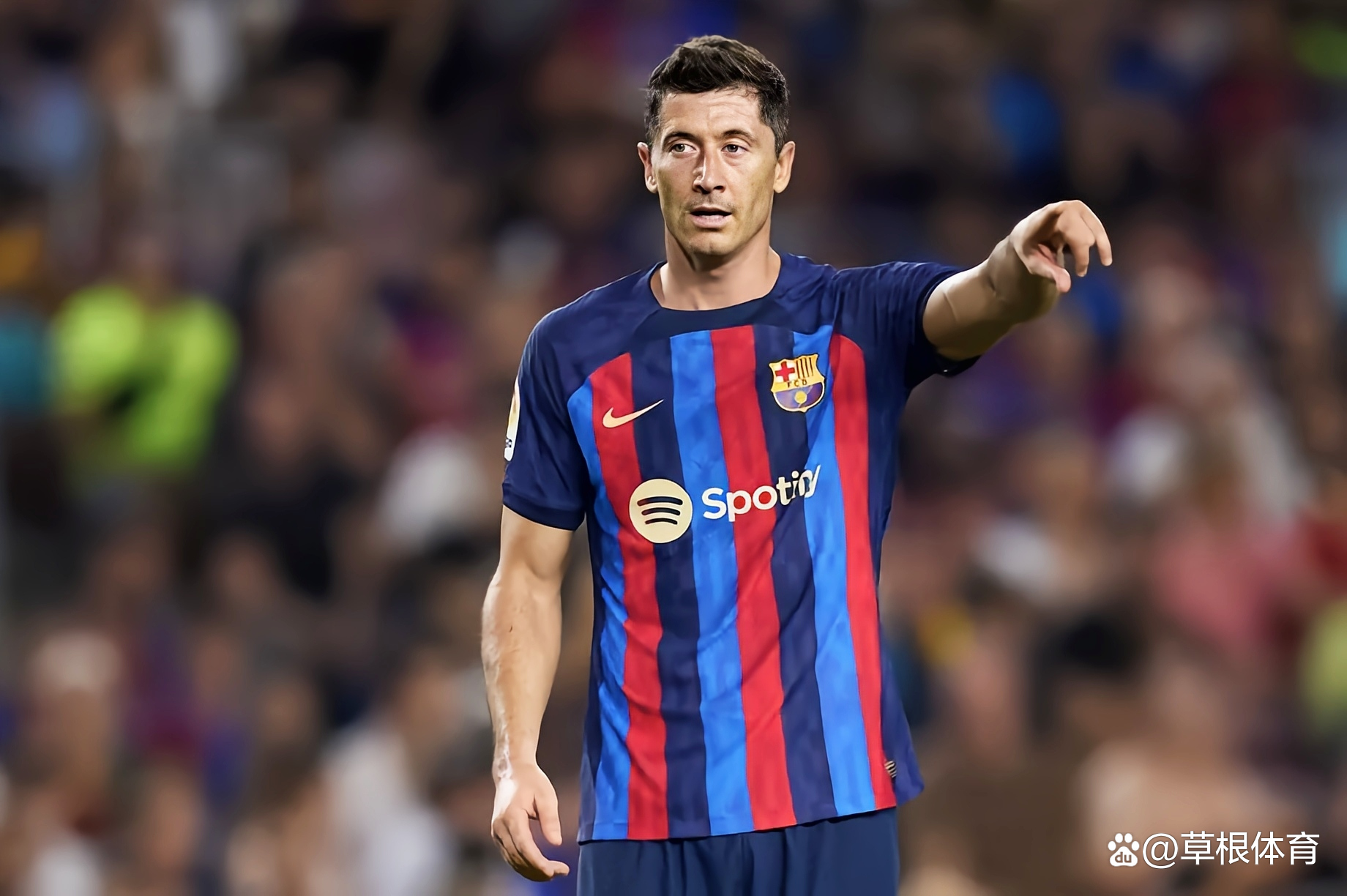 那不勒斯逆转塞维利亚，莱万点燃赛场的简单介绍