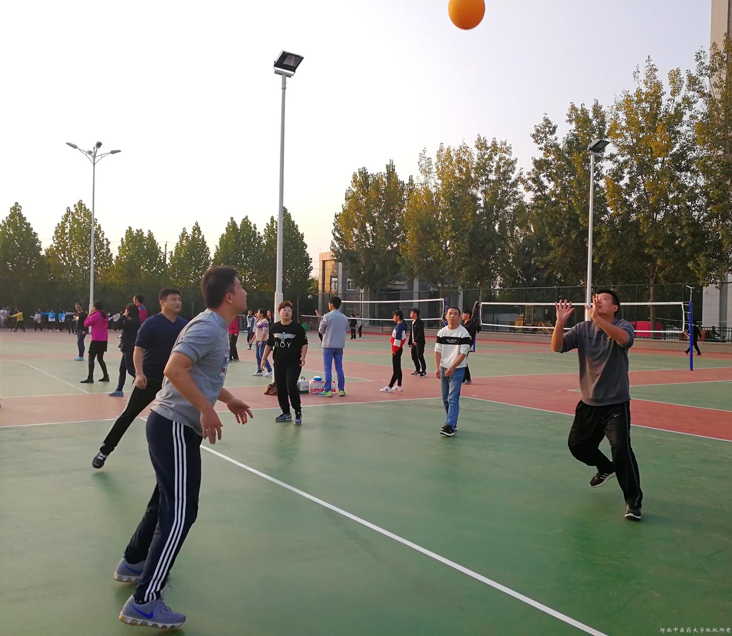 巴西队在排球比赛中取得冠军，士气高昂的简单介绍