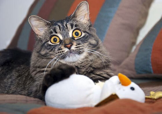 从亚特兰大到米兰,封锁的艺术与接管的意志